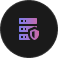 High security icon